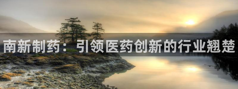 九游会老哥俱乐部官网首页：南新制药：引领医药创新的行业翘楚