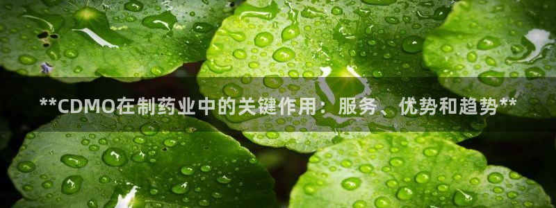 九游会老哥必备的交流社区九：**CDMO在制药业中的关键作用：服务、优势和趋势**