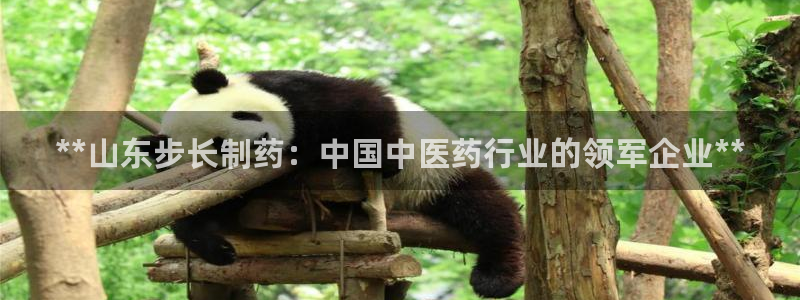 ag九游会老哥：**山东步长制药：中国中医药行业的领军企业**