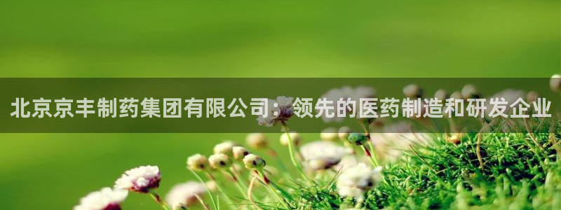 老哥吧九游会：北京京丰制药集团有限公司：领先的医药制造和研发企业