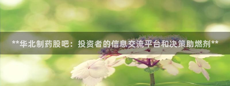 老哥俱乐部是干什么的：**华北制药股吧：投资者的信息交流平台和决策助燃剂**