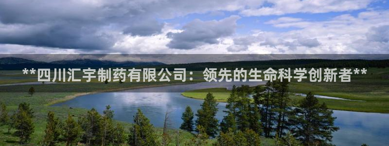 九游会老哥必备的交流社区九：**四川汇宇制药有限公司：领先的生命科学创新者**
