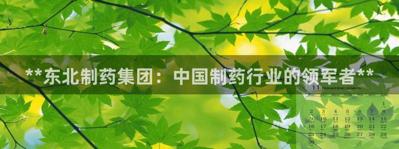 老哥俱乐部是干什么的：**东北制药集团：中国制药行业的领军者**