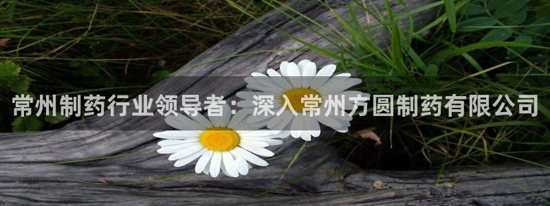 九游老哥俱乐部登录：常州制药行业领导者：深入常州方圆制药有限公司