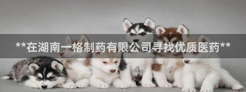 老哥俱乐部是干什么的：**在湖南一格制药有限公司寻找优质医药**