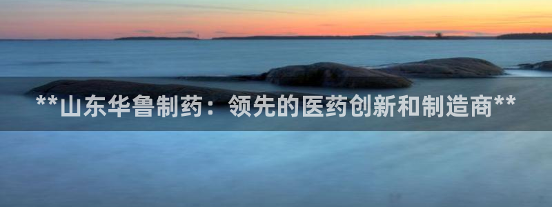 九游会老哥俱乐部官网首页：**山东华鲁制药：领先的医药创新和制造商**