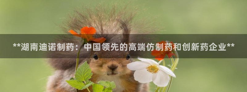 九游会老哥俱乐部官网首页论坛：**湖南迪诺制药：中国领先的高端仿制药和创新药企业**