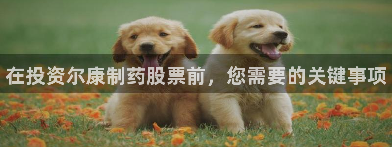 9游会老哥：在投资尔康制药股票前，您需要的关键事项