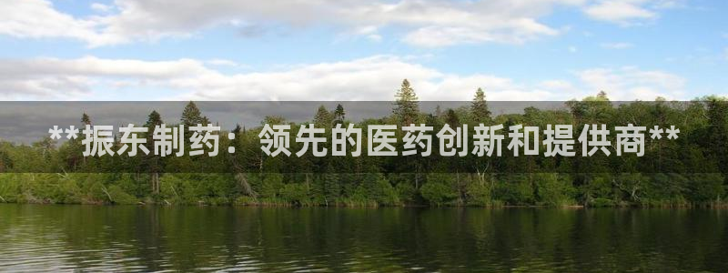 九游会老哥俱乐部交流社区：**振东制药：领先的医药创新和提供商**
