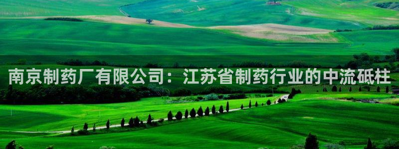 九游会老哥俱乐部交流社区：南京制药厂有限公司：江苏省制药行业的中流砥柱