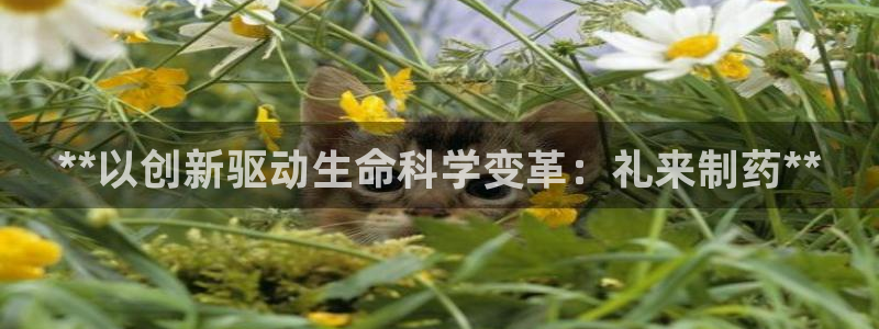 九游老哥俱乐部登录：**以创新驱动生命科学变革：礼来制药**