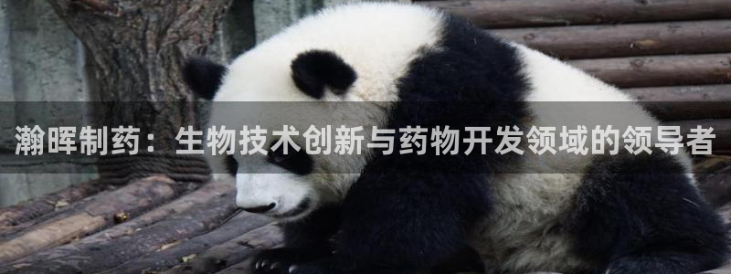 ag九游会老哥俱乐部：瀚晖制药：生物技术创新与药物开发领域的领导者