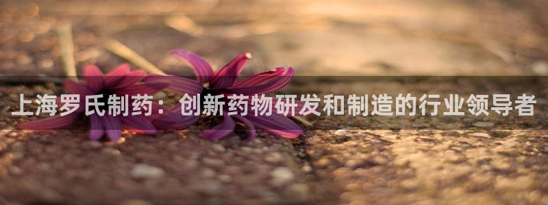 九游会老哥必备的交流社区：上海罗氏制药：创新药物研发和制造的行业领导者