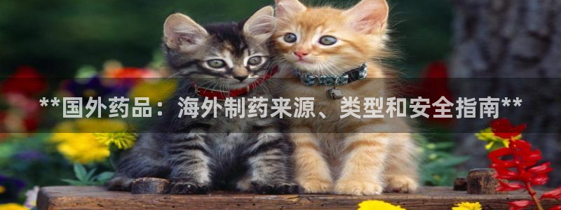 九游会老哥俱乐部必备的交流社区论坛：**国外药品：海外制药来源、类型和安全指南**