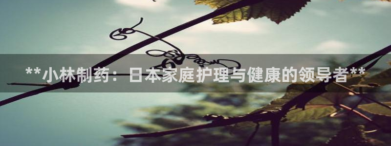 9游会老哥俱乐部：**小林制药：日本家庭护理与健康的领导者**
