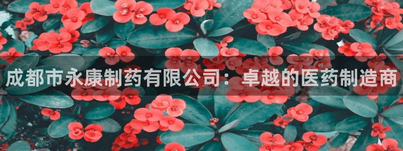 ag九游会老哥俱乐部：成都市永康制药有限公司：卓越的医药制造商