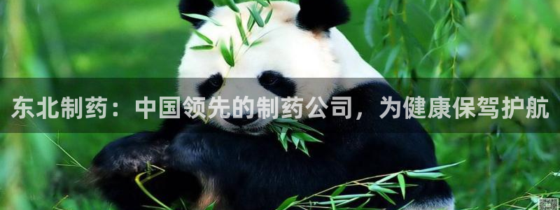 ag九游会老哥俱乐部：东北制药：中国领先的制药公司，为健康保驾护航