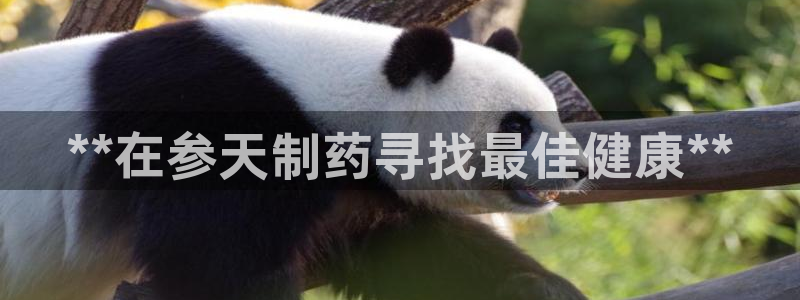 九游会老哥俱乐部官方网站：**在参天制药寻找最佳健康**