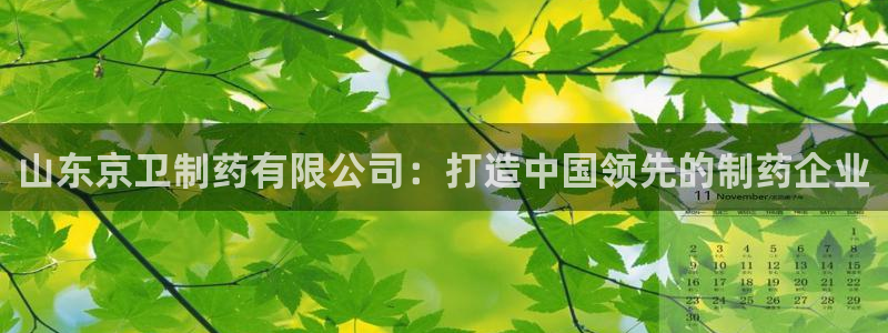 ag九游老哥俱乐部：山东京卫制药有限公司：打造中国领先的制药企业