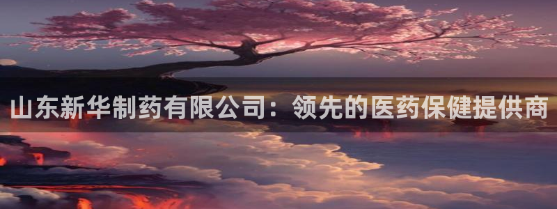 九游会老哥必备的交流社区九：山东新华制药有限公司：领先的医药保健提供商