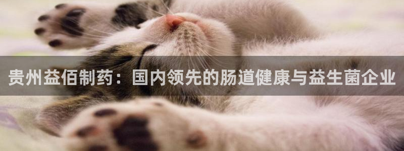 老哥俱乐部是干什么的啊：贵州益佰制药：国内领先的肠道健康与益生菌企业