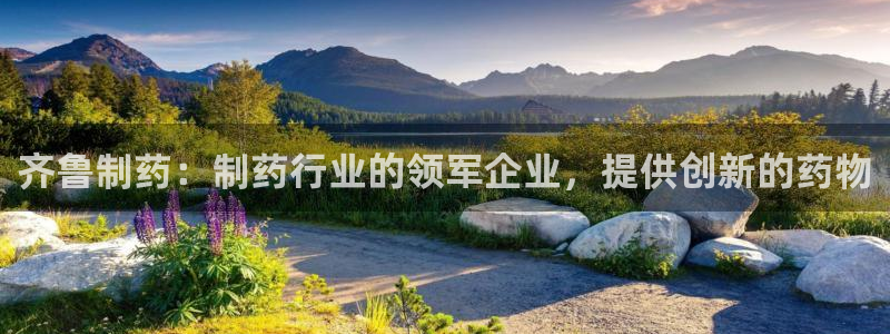 九游老哥俱乐部官网登录不了：齐鲁制药：制药行业的领军企业，提供创新的药物