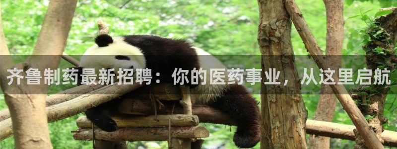 九游会老哥俱乐部社区论坛：齐鲁制药最新招聘：你的医药事业，从这里启航