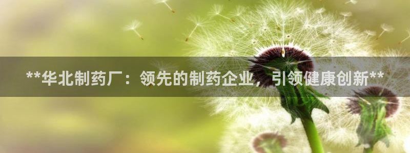 九游会老哥俱乐部官方网站：**华北制药厂：领先的制药企业，引领健康创新**