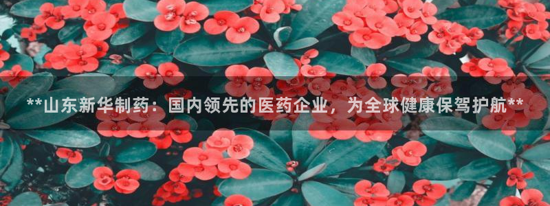 九游老哥俱乐部官网登录网址：**山东新华制药：国内领先的医药企业，为全球健康保驾护航**