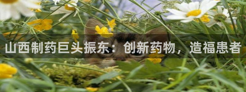 9游会老哥：山西制药巨头振东：创新药物，造福患者