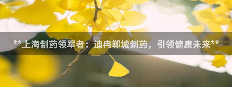 9游会老哥：**上海制药领军者：迪冉郸城制药，引领健康未来**
