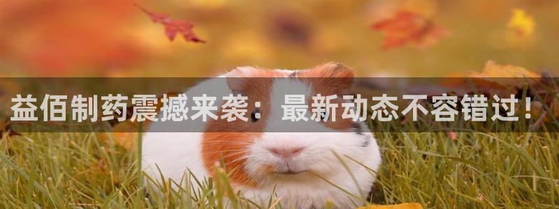 老哥俱乐部是干什么的：益佰制药震撼来袭：最新动态不容错过！