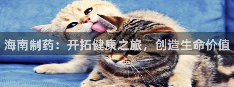 j9九游会老哥俱乐部交流区