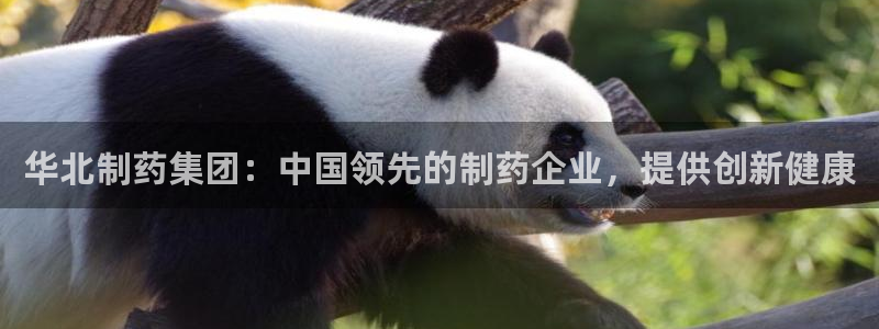 九游老哥俱乐部官网登录入口：华北制药集团：中国领先的制药企业，提供创新健康