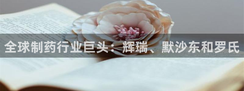 老哥俱乐部是干什么的