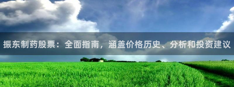九游会老哥俱乐部：振东制药股票：全面指南，涵盖价格历史、分析和投资建议