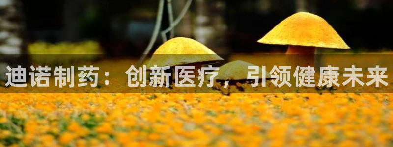 九游会老哥必备的交流社区九：迪诺制药：创新医疗，引领健康未来