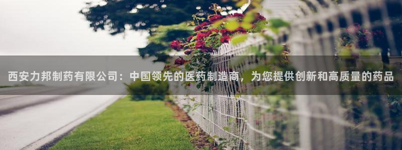 九游会老哥俱乐部必备的交流社区论坛：西安力邦制药有限公司：中国领先的医药制造商，为您提供创新和高质量的药品