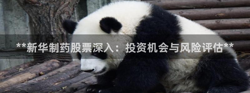 ag九游老哥俱乐部：**新华制药股票深入：投资机会与风险评估**