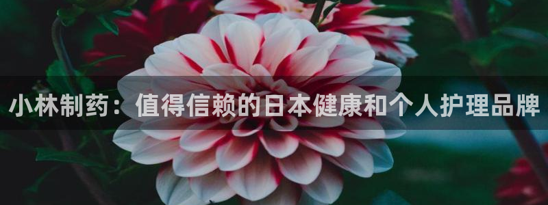 老哥吧九游会下架吗