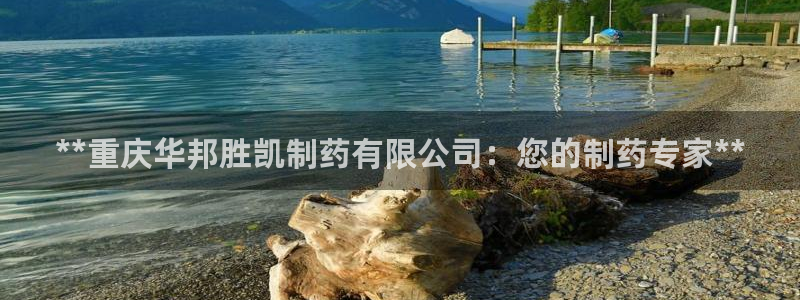 usdt九游会老哥俱乐部：**重庆华邦胜凯制药有限公司：您的制药专家**