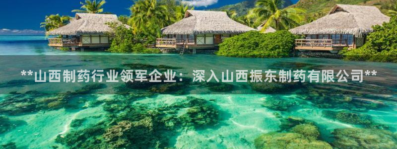 九游会老哥必备的交流社区：**山西制药行业领军企业：深入山西振东制药有限公司**