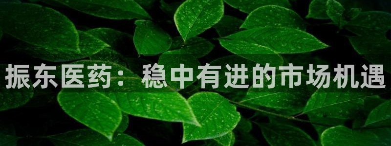 九游会老哥俱乐部官网首页论坛：振东医药：稳中有进的市场机遇