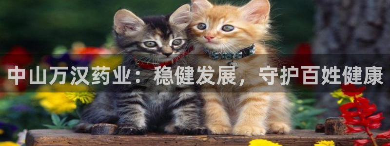 九游老哥俱乐部官网登录入口：中山万汉药业：稳健发展，守护百姓健康