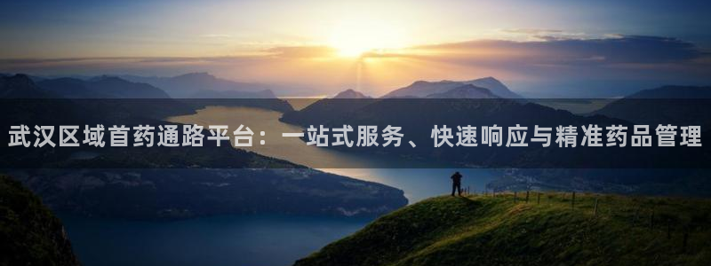 老哥俱乐部是干什么的：武汉区域首药通路平台：一站式服务、快速响应与精准药品管理