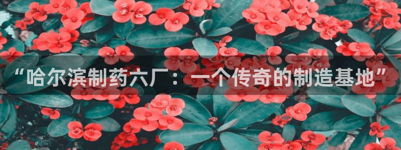 老哥吧九游会下架吗