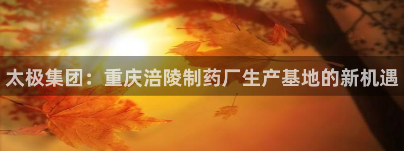 九游会老哥