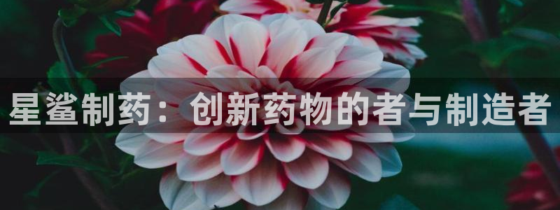 ag九游会老哥：星鲨制药：创新药物的者与制造者