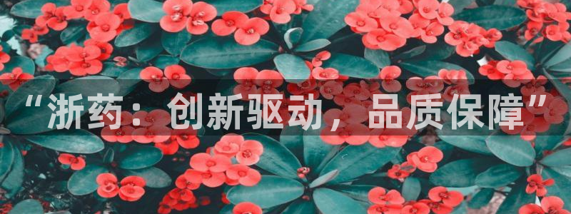 九游会老哥俱乐部社区论坛：“浙药：创新驱动，品质保障”