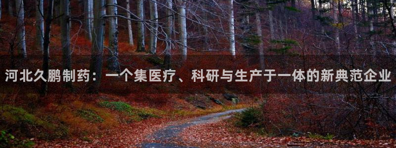 九游老哥俱乐部官网登录网址：河北久鹏制药：一个集医疗、科研与生产于一体的新典范企业
